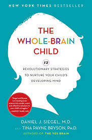 The whole brain child book cover