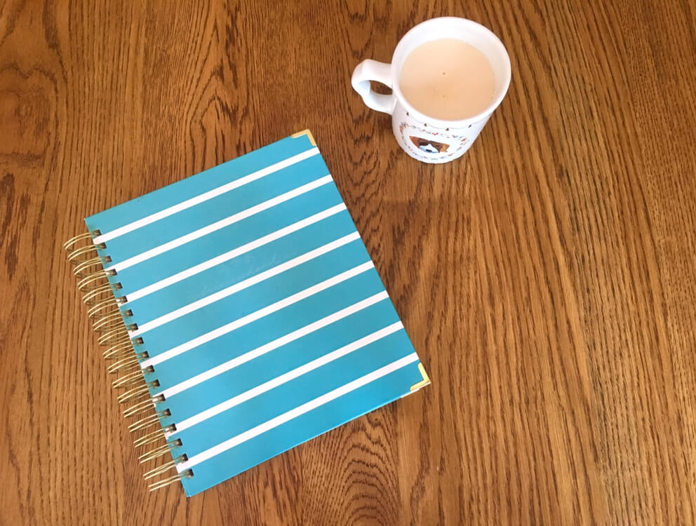 Living Well Planner Review: It's how I keep everything together!