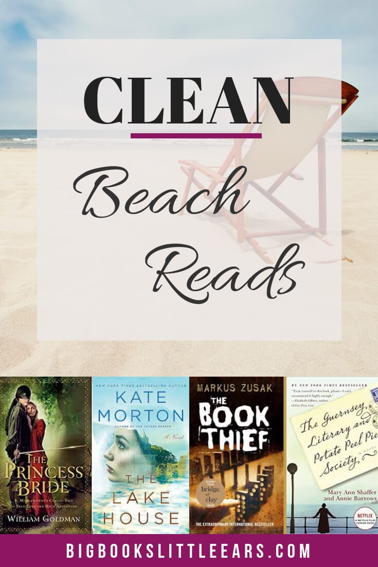 Clean beach reads pin