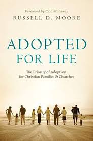 Christian book cover about the theology of orphan care