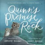 quinn's promise rock cover