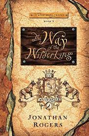 The Wilderking book cover image
